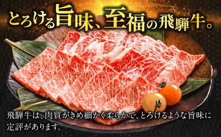 飛騨牛切り落とし　1kg（250ｇ×4P）すき焼き 焼肉 小分け 岐阜市/丸福商店 [ANBO005]