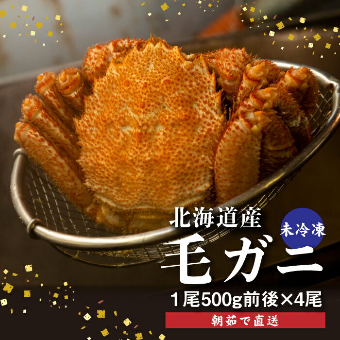 【ふるさと納税】【配達地域限定】 朝茹で 直送毛ガニ 500g前後×4杯 冷蔵 未冷凍 毛ガニ 北海道 ふるさと納税 毛蟹 毛がに 毛ガニ 魚介類 魚 海鮮 新鮮 年末年始 恵庭市 恵庭 北海道ふるさと納税【52001303】