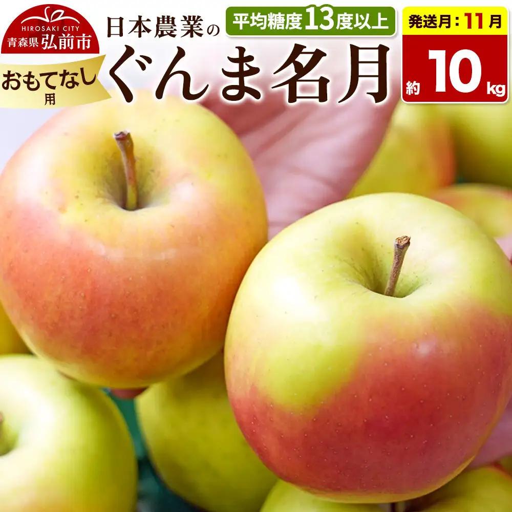 【26年11月発送】りんご ぐんま名月【おもてなし用】約10kg 平均糖度13度以上 青森県 弘前市 果物 フルーツ 林檎 リンゴ くだもの