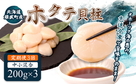 【定期便3回】　北海道雄武町産ほたて貝柱 中小混合 200g×3 (冷凍) 使い切りパック【07137】