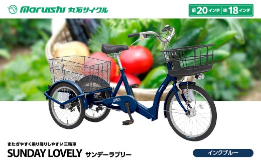 300-002 サンデーラブリー（丸石サイクル）インクブルー YSKR119-IBL