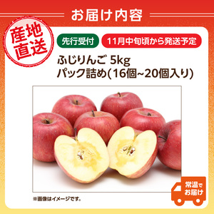 ≪先行受付≫ふじりんご 5kg パック詰め 【2025年11月中旬～順次発送予定】 057-001