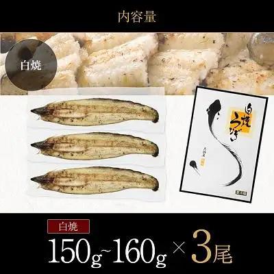 鹿児島県大隅産 千歳鰻の 白焼鰻　3尾｜うなぎ うなぎ