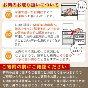 鹿児島県産黒毛和牛(4～5等級)ヒレステーキ2種盛り(合計480g・240g×2パック) 牛肉 ヒレ肉 赤身【カミチク】A-231