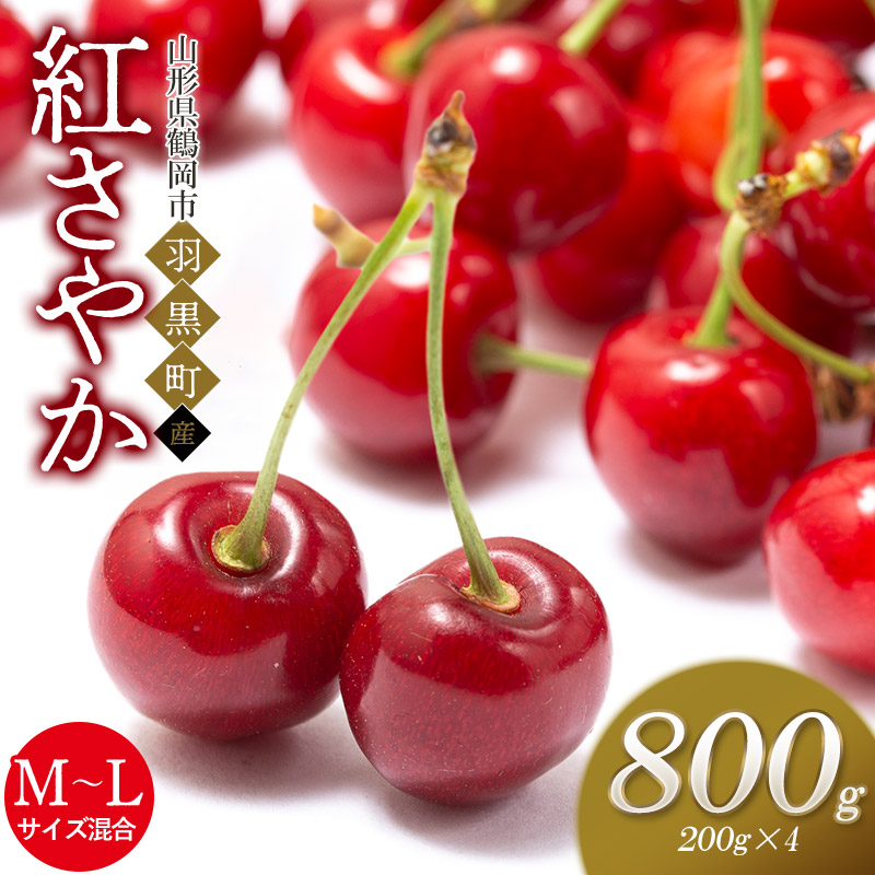 【令和8年産先行予約】さくらんぼ 紅さやか M～Lサイズ混合 バラ詰め 800g (200g×4P) 庄内さくらんぼ園