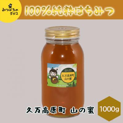 ふるさと納税 久万高原町 みつばちのダンス「久万高原町　山の蜜(1000g)」