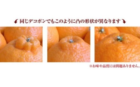 田村産「デコ」不知火[約3kg]湯浅町田村産春みかん(果実サイズおまかせ)/紀伊国屋文左衛門本舗　※2026年2月中旬～3月下旬頃に順次発送予定(お届け日指定不可)【kztb493A】