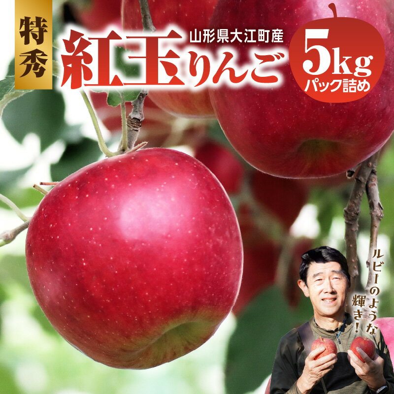 【ふるさと納税】≪先行受付≫紅玉りんご5kg 18個～25個 特秀【2025年10月下旬頃～発送予定】 紅玉 りんご 特秀 焼きりんご アップルパイ りんごジャム 濃厚 昔懐かしい リンゴ 林檎 アップル 果物 フルーツ レビューキャンペーン