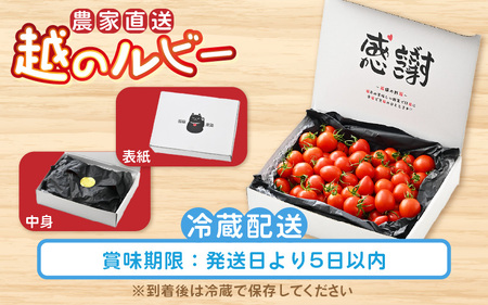越のルビー 農家直送 フルーツトマト2kg 福井県産ブランドトマト【とまと トマト ミディトマト 野菜 生野菜 美容 健康 新鮮 産地直送 贈答 ギフト 国産】 [A-21801]