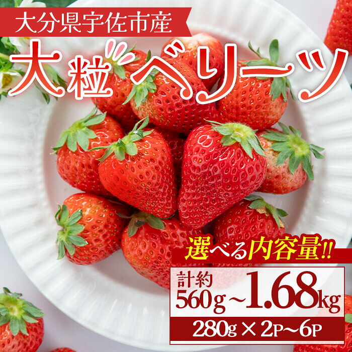 【ふるさと納税】＜10月1日から先行予約受付開始！＞＜選べる！内容量＞＜2027年1月上旬〜3月下旬の間に発送予定＞大粒いちご(計約560g～1.68kg・280g×2P~6P)苺 イチゴ フルーツ 果物 くだもの 果実 ベリーツ 大粒【117900400・117900500・117900600】【Farm U.S.A.】