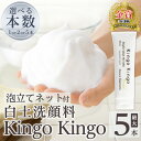 【ふるさと納税】＜本数が選べる＞白土洗顔料 kingokingo(計1本～5本・泡立てネット)泡 濃密泡 もっちり泡 洗顔料 洗顔 洗顔フォーム きんごきんご【てんげん】