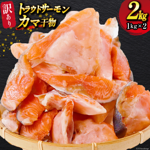 訳あり トラウトサーモン カマ 干物 2kg [カネダイ 宮城県 気仙沼市 20564362] サーモン 鮭 さけ サケ シャケ 魚 魚介 魚介類 お弁当 おかず 冷凍 海鮮