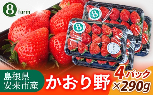 【先行予約】 かおり野 4パック 【 選べる品種 約290g×4パック かおりの イチゴ いちご 苺 ストロベリー 冷蔵 安来市産】【16-FA-11】