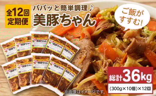 【全12回定期便】 美豚ちゃん 300g×10個 セット 【長崎フードサービス】 [PEL016] 簡単 調理 豚肉 豚 レトルト パック 小分け 国産 焼肉 加工 肉 レトルト 簡単 おかず
