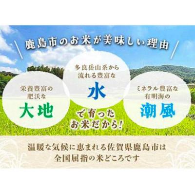 ふるさと納税 鹿島市 令和7年度産 鹿島市産 [さがびよりor夢しずく] 5kg 1袋 【品種指定不可】精米済　白米 |  | 02
