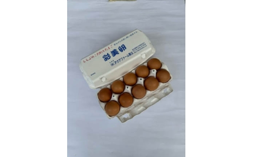 彩美卵30個 ／ たまご タマゴ 放し飼い飼育 放し飼い飼育 卵 新鮮卵 彩美卵 生食可 冷蔵配送 黄身 風味豊か 卵料理 朝食 料理素材 自然飼育 送料無料 埼玉県 No.428