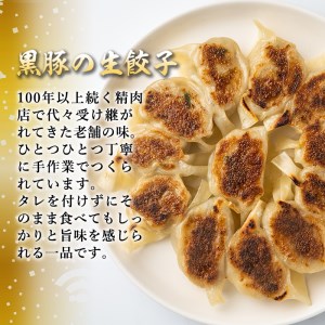 isa266 100年以上続く精肉店の黒豚餃子(計36個・12個入×3P)惣菜 鹿児島 手作り 生餃子 ギョウザ 黒豚 豚肉 冷凍食品 おかず おつまみ 惣菜 小分け 焼くだけ 簡単調理 冷凍便【増元