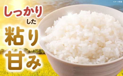滋賀県 低農薬栽培 ミルキークイーン 白米 5kg 米 お米 白米 ご飯 ごはん ゴハン 人気 おすすめ 5キロ