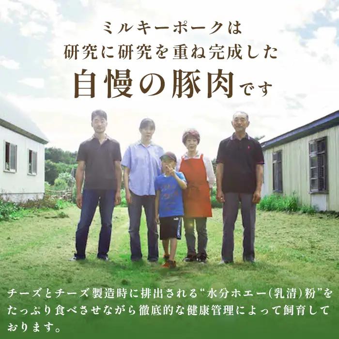 ミルキーポークの手作りハンバーグ 120g×5個×2袋 計10個【1500602】
