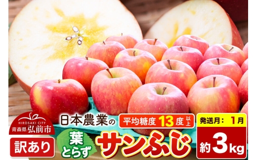 【27年1月発送】りんご 葉とらずサンふじ 【訳あり】 約3kg 平均糖度13度以上 青森県産 [りんご 林檎 アップル 産地直送 葉とらず サンふじ 訳あり 自宅用 家庭用 果物 フルーツ くだもの おいしい 美味 甘い 青森県 弘前市 日本農業] [u9]