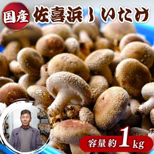 佐喜浜しいたけ【約１ｋｇ】_ 国産 高知県 椎茸 シイタケ 野菜