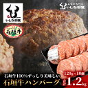 【ふるさと納税】 高級 黒毛和牛 石垣牛 ハンバーグ 120g × 10個 1.2kg | ふるさと納税 ハンバーグ 和牛 黒毛和牛 石垣牛 無添加 国産 牛肉 ブランド牛 冷凍 個包装 ふるさと 沖縄県 沖縄 石垣 石垣島 石垣市 人気 送料無料 AB-13-2