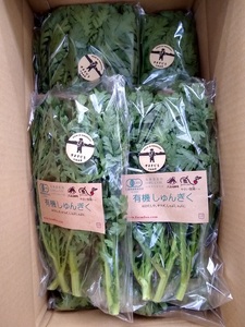 明野とまとセットと有機野菜おまかせ6種のコラボセット０２ トマト ケチャップ ジュース 有機野菜 おまかせ 6種 バラエティ セット 新鮮 九州屋ファーム 明野 野菜 山梨県 北杜市   [h216]