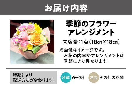 【配達日時指定可能！贈り物にもぴったり！】季節のフラワーアレンジメント_OS123-0001