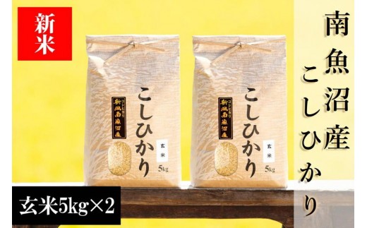 【令和8年産 新米予約】南魚沼産コシヒカリ（玄米）【10kg】【銘柄米 ブランド米 玄米 こしひかり コシヒカリ 魚沼産 新潟米 産地直送 お米 米 こめ コメ ご飯 御飯 ごはん】【2026年10月上旬から1ヶ月以内に順次発送予定】