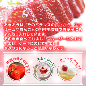 いちご あまおう 冬 540g以上 いちご