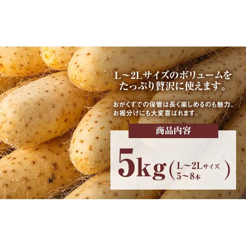 2026年12月発送 先行予約 十勝「忠類長いも」5kg (5～8本) L～2L［JA忠類］【 長芋 ながいも 山芋 芋 とろろ 野菜 根菜 産地直送 贈答 ギフト北海道 幕別 】