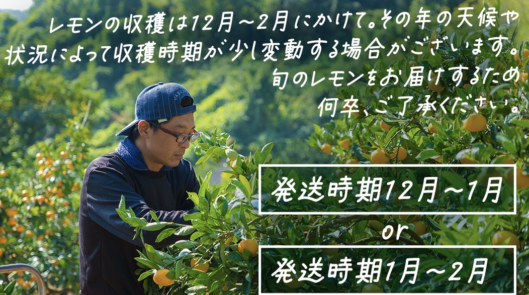 瀬戸内海に浮かぶ離島、大崎上島。『岩﨑農園』は、家族いっしょに大崎上島にIターンした岩﨑さん一家が営む農園です。
