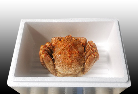 毛かに400g前後～550g前後×1尾 B-30021