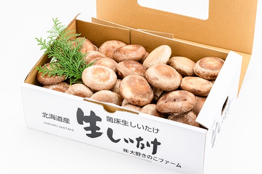 北海道の自然で育った 極撰 肉厚しいたけ 1kg HOKBA001