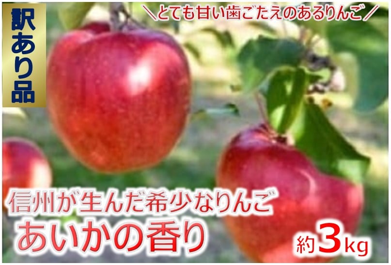 
            【009-44】傷等訳あり・ご家庭用　甘い!希少!りんご　幻のあいかの香り　3キロセット（りんご・リンゴ・林檎）
          