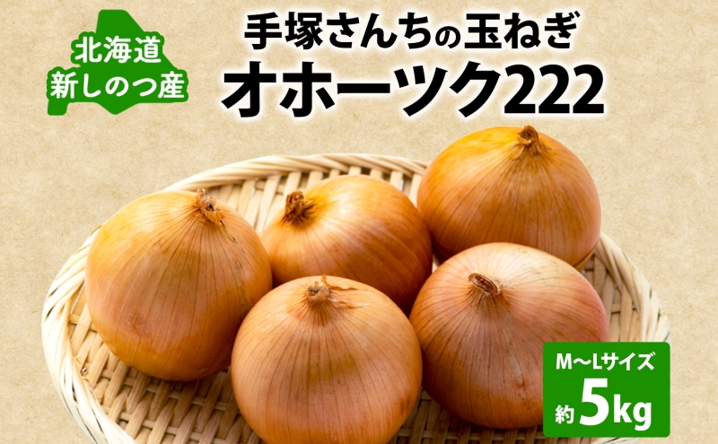 北海道 新しのつ産 手塚さんちのたまねぎ M～Lサイズ 約5kg 