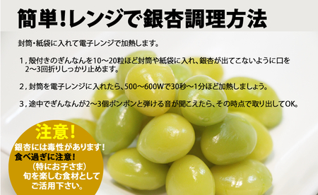 大粒銀杏 (殻付き) 600g 江里口加工所 ぎんなん 旬の食材 銀杏 秋の味覚  A060-016