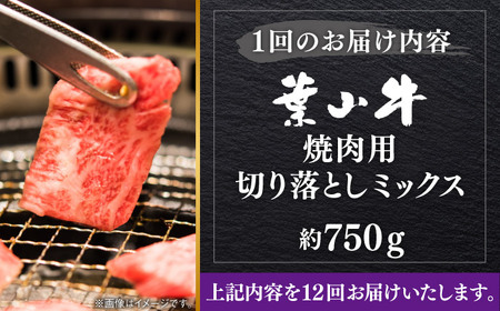 【全12回定期便】葉山牛750g　焼肉用ミックス 牛肉（ロース、モモ、カルビ等） 食べ比べ[ASBD033]