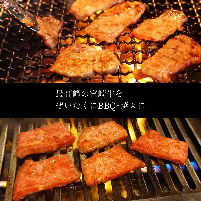 宮崎牛 焼肉 切り落とし 合計1kg（500g×2P）ウデ 牛肉 切り落し 切落し BBQ 国産 普段使い 九州産【C269-30】