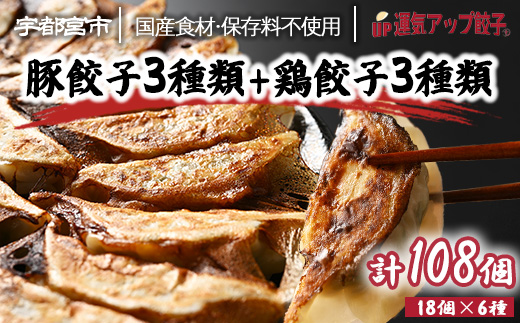 宇都宮餃子 運気アップ餃子  6種類味比べ(合計108個)【 餃子 食べ比べセット 冷凍餃子 冷凍食品 惣菜 栃木県 宇都宮市 】※配送不可地域：離島