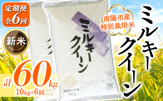 【令和8年産 新米 先行予約】【金賞受賞農家】 《定期便6回