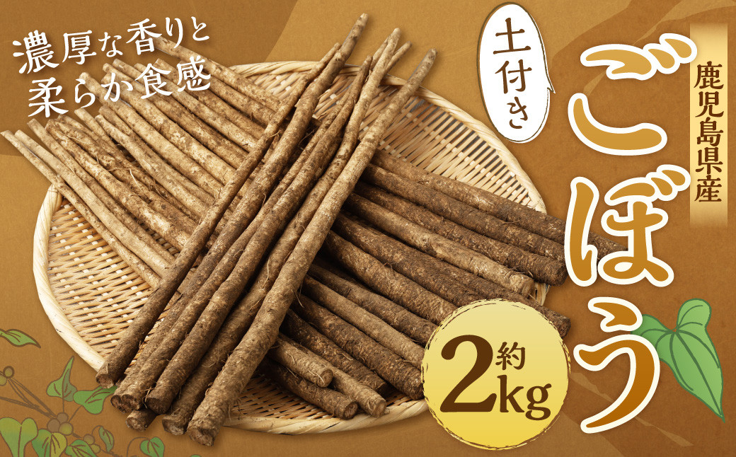 
            ZS-714 鹿児島県産 土付きごぼう 約2kg【2026年1月上旬～3月下旬発送予定】
          
