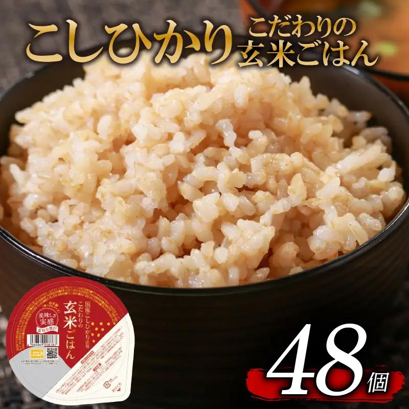 【パックご飯】 玄米 国産こしひかり 無添加一分づき 120g 計48個 パックご飯