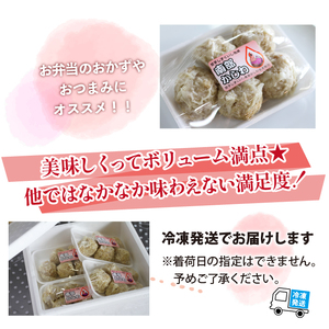 雫石地鶏「南部かしわ入り焼売（シューマイ）」20個セット／惣菜 冷凍発送