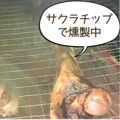 ふるさと納税 みやき町 犬の噛むおやつ☆天然いのししの骨ガム☆大型犬向け_SS750 |  | 02