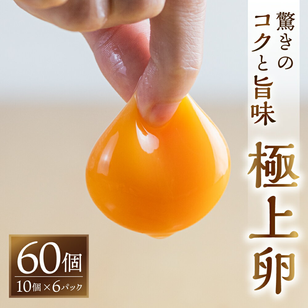 【ふるさと納税】『2月1日より価格改定』＼高評価★5／ 感動 極上卵 60 個 割れ保証付き たまご カミヤタマゴ たまこちゃん 卵 鶏卵 玉子 たまごかけご飯 お取り寄せ 小分け 生卵 濃厚 高級 定期便 3ヶ月 6ヶ月 12ヶ月 卵料理 玉子 毎月 定期 幻 入手困難 人気 濃厚 60個
