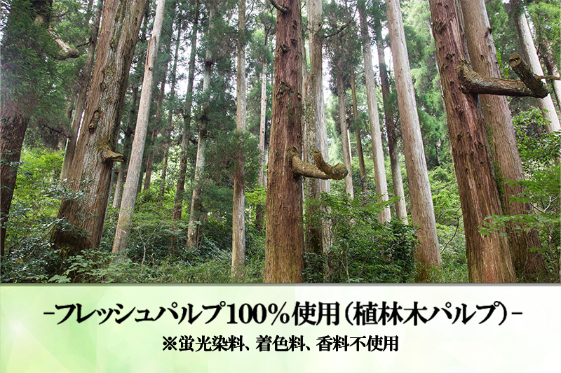 【令和8年4月～出荷】ティッシュペーパー ピュアパルプ ソフトパックティッシュ 60パック×400枚 200組 柔らか コンパクト 日用品 必需品 まとめ買い 常備品 備蓄 防災グッズ 熊本県 小国町