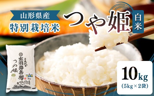 【令和7年産】特別栽培米 つや姫 白米 10kg（5kg×2袋） 山形県産 F2Y-4792