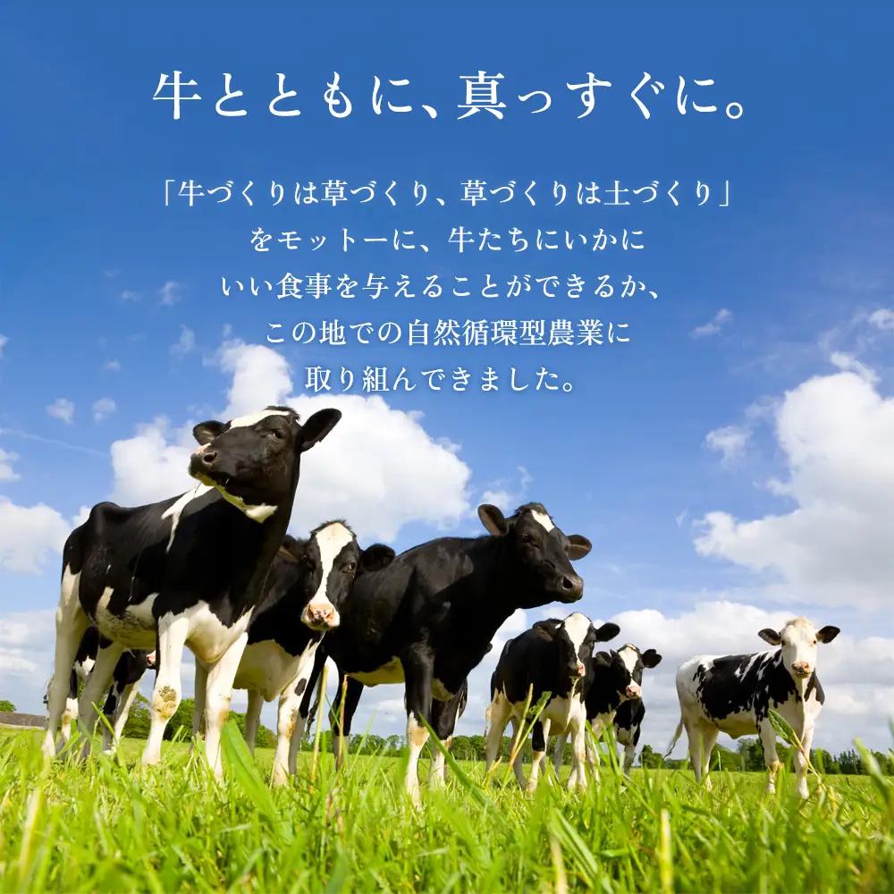阿部牧場 のむヨーグルト 800ml×3本