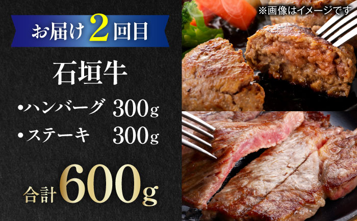【全6回定期便】家族で満喫！沖縄のお肉贅沢セット【沖縄市】ハンバーグ あぐー 石垣牛 ステーキ 焼肉 冷凍 ギフト お取り寄せ 沖縄市 / お肉屋本店 / 豚々茶舗 / TESIO / 肉のサブロー 